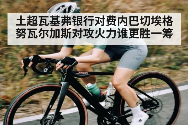 土超瓦基弗银行对费内巴切埃格努瓦尔加斯对攻火力谁更胜一筹